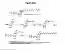 Fig. 32 - Method of preparation of nanopore and uses thereof
