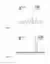Fig. 07 - POLYMERIZED MICROARRAYS
