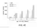Fig. 07 - METHODS OF DIAGNOSING, PREVENTING, AND TREATING BONE MASS DISEASES