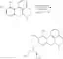 Fig. 35 - METHODS OF DIAGNOSING, PREVENTING, AND TREATING BONE MASS DISEASES