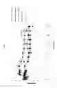 Fig. 02 - Pharmaceutical dosage forms comprising 6′-fluoro-(N-methyl- or N,N-dimethyl-)-4-phenyl-4′,9′-dihydro-3′H-spiro[cyclohexane-1,1′-pyrano[3,4,b]indol]-4-amine