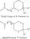 Fig. 26 - Compositions and methods for silencing ebola virus gene expression