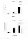 Fig. 06 - Compositions and methods for decreasing leukocyte extravasation and vessel fluid leakage