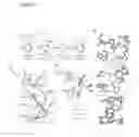 Fig. 06 - Lin28/let-7 crystal structures, purification protocols, and molecular probes suitable for screening assays and therapeutics