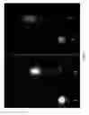 Fig. 04 - Small peptide specific for lung cancer and application thereof