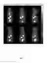 Fig. 08 - Small peptide specific for lung cancer and application thereof