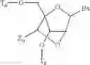 Fig. 23 - Tricyclic nucleic acid analogs
