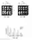 Fig. 20 - DIARYLHYDANTOIN COMPOUNDS