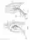 Fig. 06 - DIAPHRAGM ENTRY FOR POSTERIOR SURGICAL ACCESS