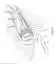 Fig. 08 - Vaginal Speculum