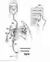 Fig. 04 - Devices, systems and methods for detecting a bilateral differential in olfactory threshold for pure odorants
