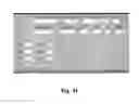 Fig. 25 - Devices, systems and methods for detecting a bilateral differential in olfactory threshold for pure odorants