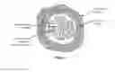 Fig. 06 - Compositions and methods for measurement of oxygen saturation in blood filled structures