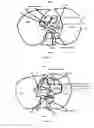 Fig. 09 - Compositions and methods for measurement of oxygen saturation in blood filled structures