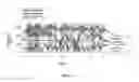 Fig. 08 - Using correlation structure of speech dynamics to detect neurological changes