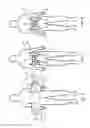 Fig. 04 - Adjustable lumbo-sacral orthosis