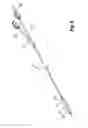 Fig. 06 - BALLOON CATHETER WITH EXPANDABLE SHAFT