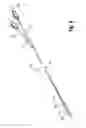 Fig. 07 - Medical balloon including radiopaque insert for precisely identifying a working surface location
