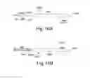 Fig. 13 - Methods and devices for sensing tissues and tissue compartments
