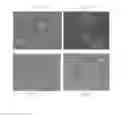 Fig. 07 - Magnetically-Controllable Delivery System for Therapeutic Agents
