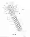 Fig. 05 - DEVICES FOR BONE FIXATION USING AN INTRAMEDULLARY FIXATION IMPLANT