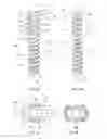 Fig. 06 - DEVICES FOR BONE FIXATION USING AN INTRAMEDULLARY FIXATION IMPLANT