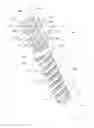 Fig. 01 - Methods for bone fixation using an intramedullary fixation implant