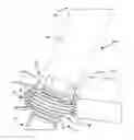 Fig. 01 - ANTI-UNSCREWING AND MULTI-ANGULAR FASTENING APPARATUSES AND METHODS FOR SURGICAL BONE SCREW/PLATE SYSTEMS