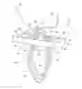 Fig. 01 - Tissue graft anchoring