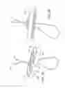 Fig. 09 - Tissue graft anchoring