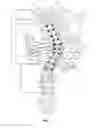 Fig. 02 - Spinal correction method and system