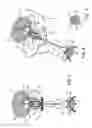 Fig. 02 - SYSTEM AND METHOD FOR TREATING URINARY TRACT DISORDERS