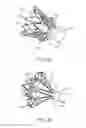 Fig. 14 - Systems, devices and methods for transcatheter valve delivery