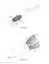 Fig. 17 - Systems, devices and methods for transcatheter valve delivery
