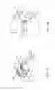 Fig. 20 - SPINAL IMPLANT AND INTEGRATION PLATE FOR OPTIMIZING VERTEBRAL ENDPLATE CONTACT LOAD-BEARING EDGES