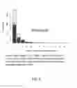 Fig. 09 - Systems and methods for using paired-end data in directed acyclic structure