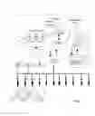Fig. 02 - Parametric system for risk sharing of critical illness risks and corresponding method thereof