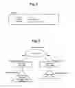 Fig. 08 - Database management system, computer, and database management method