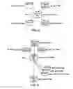 Fig. 16 - System and method for analyzing de-identified health care data
