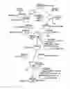 Fig. 18 - System and method for analyzing de-identified health care data