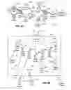 Fig. 09 - Rules-based multipoint routing of real-time information using client-server architecture