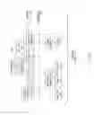 Fig. 02 - Symbolic variables within email addresses