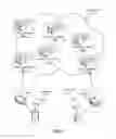 Fig. 02 - METHOD AND APPARATUS FOR A NAMED NETWORK WITHIN AN AUTONOMOUS SYSTEM