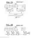 Fig. 03 - Implementing MISR compression methods for test time reduction