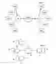 Fig. 02 - ASSOCIATING A GENERATED VOICE WITH AUDIO CONTENT