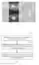 Fig. 02 - METHOD AND DEVICE FOR PROVIDING AN IMAGE PREVIEW
