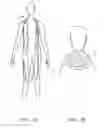 Fig. 11 - User Adaptable Garment
