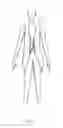Fig. 12 - User Adaptable Garment