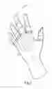 Fig. 02 - Glove for meat preparation