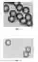 Fig. 02 - Fiber comprising a mixture of poly(m-phenylene isophthalamide) and copolymer made from 5(6)-amino-2-(p-aminophenyl)benzimidazole